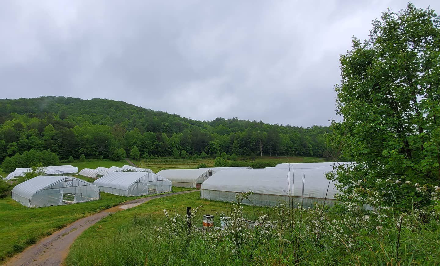 Previous Happening: Farm Happenings for May 26, 2020: lackadaisical worry
