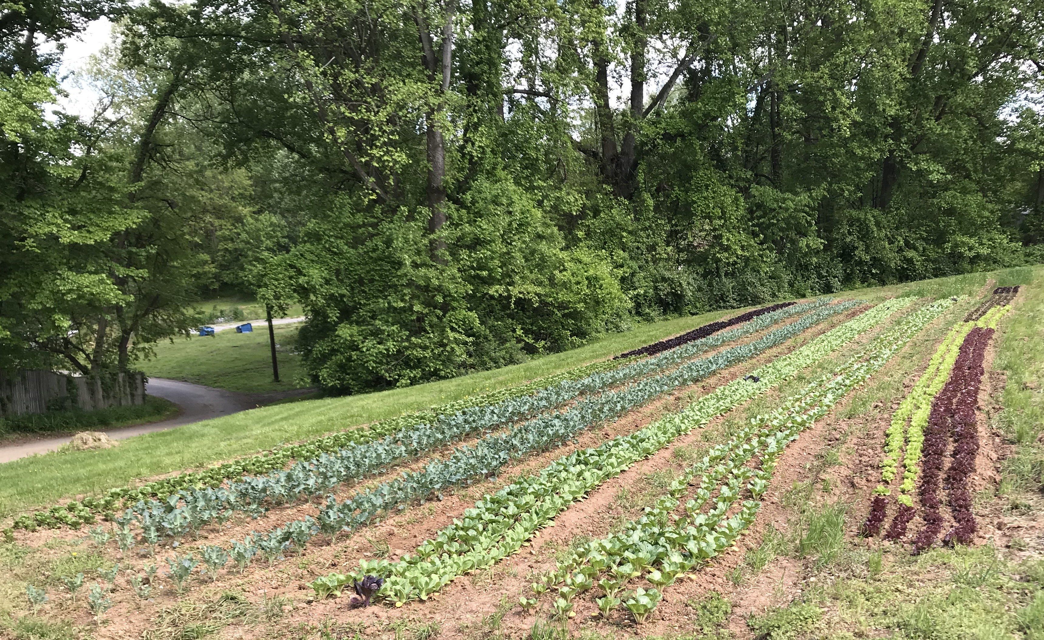 Previous Happening: Farm Happenings for May 30, 2020