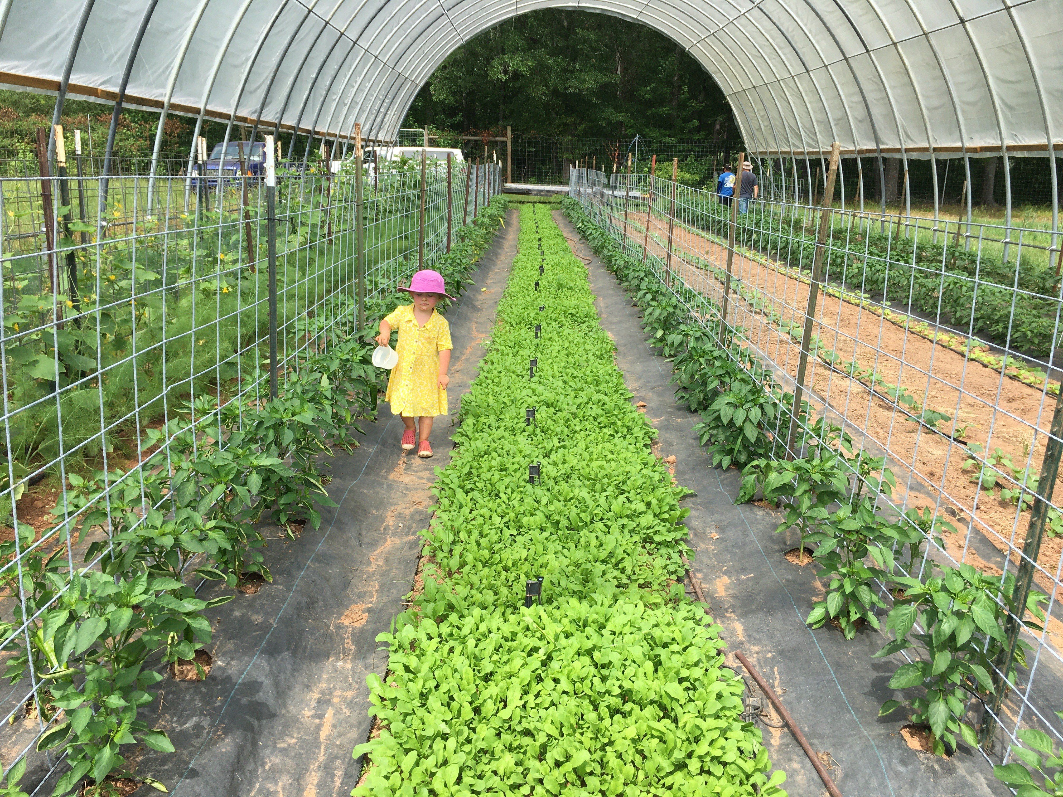 Previous Happening: Farm Happenings for May 29th