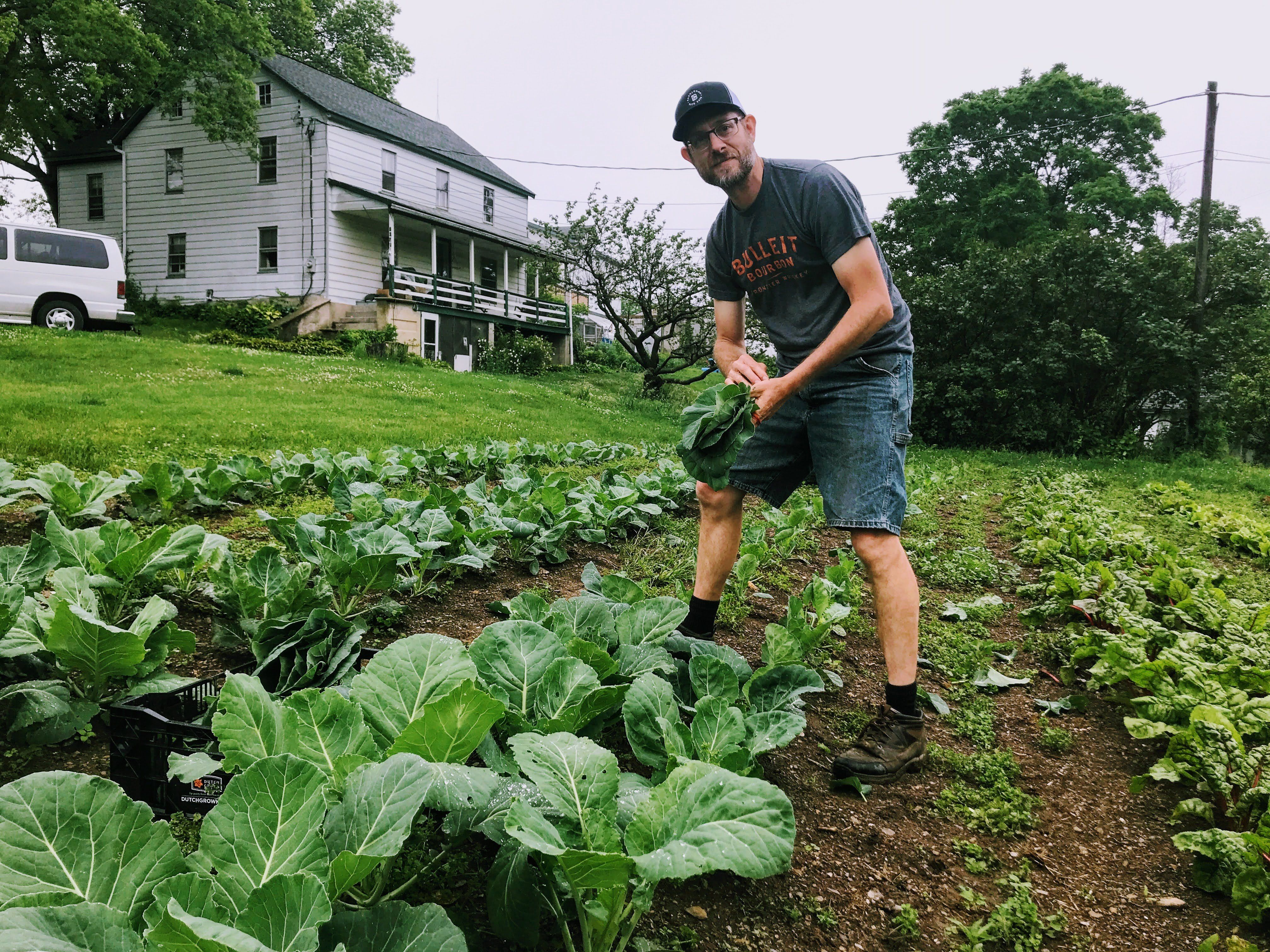 Farmer learns how to save veggies from the bugs
