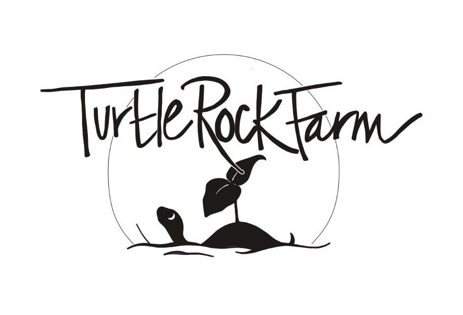Previous Happening: Farm Happenings for 6/21/2020 - Update from Turtle Rock Farm & A few Share notes