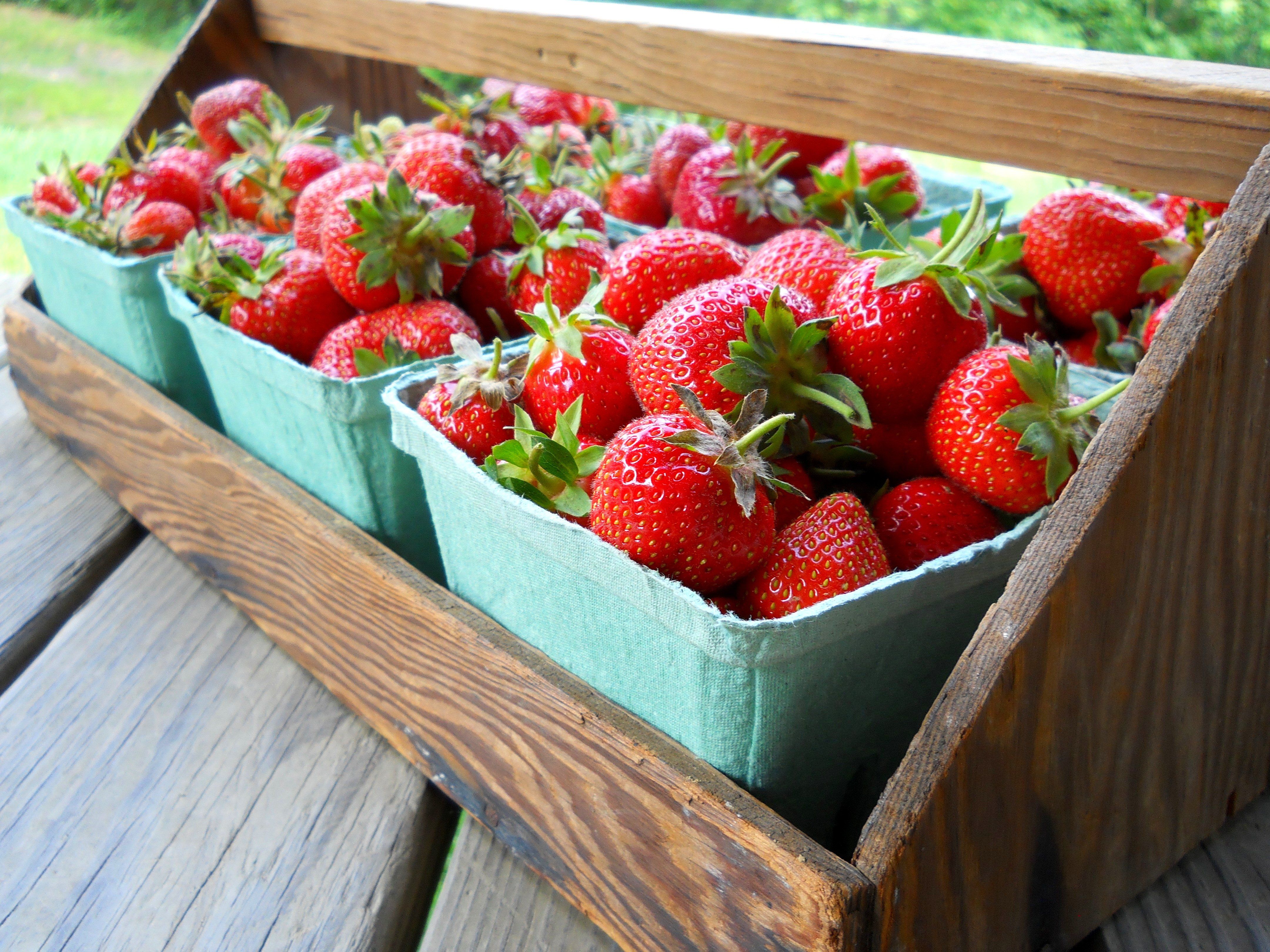 Next Happening: Scant Strawberries This Year