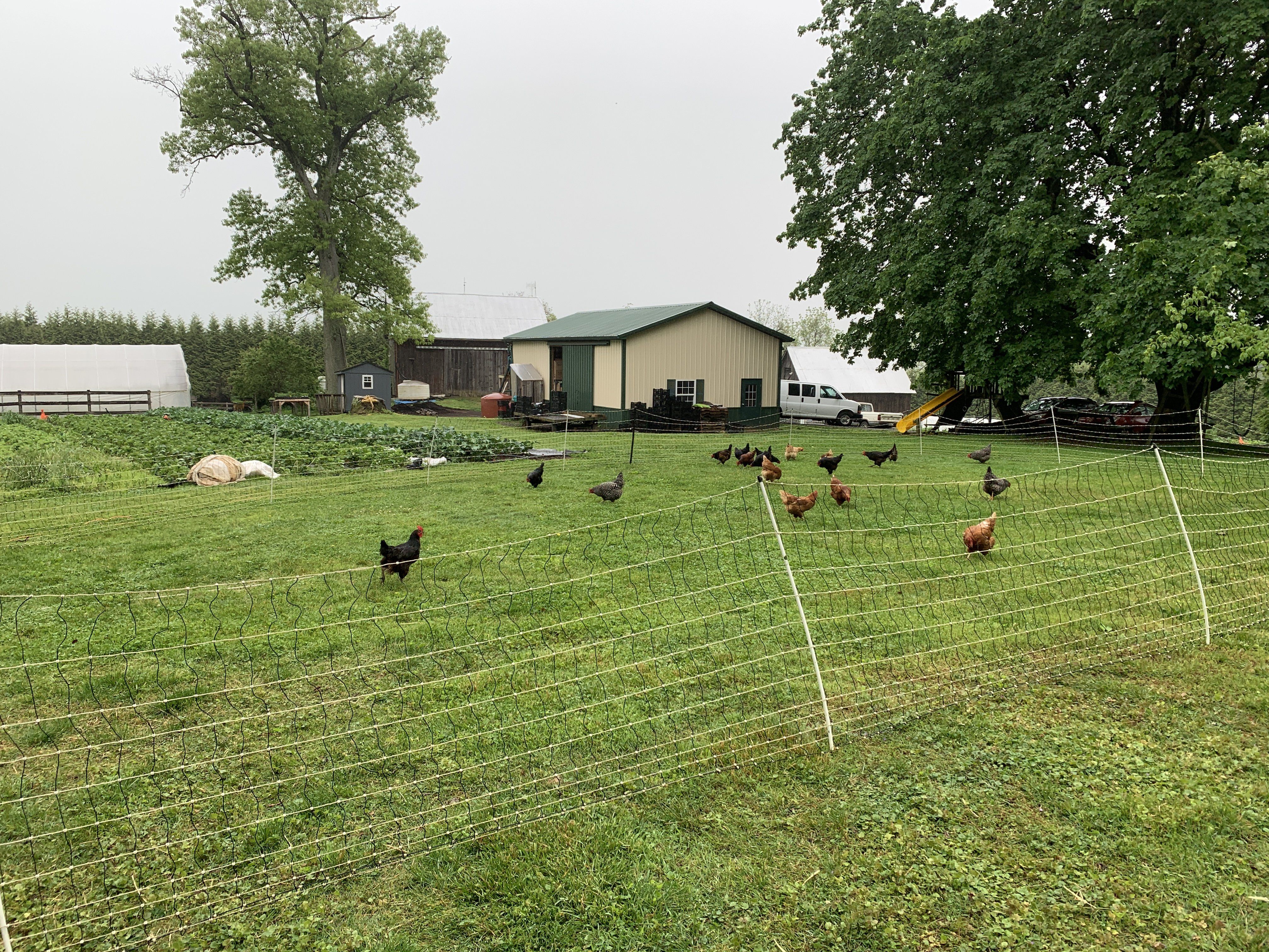 Next Happening: Farm Happenings for July 4, 2020
