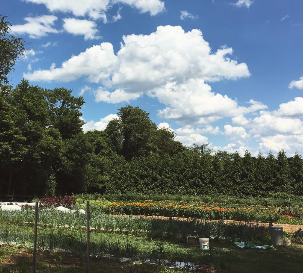 Next Happening: Farm Happenings for July 7, 2020