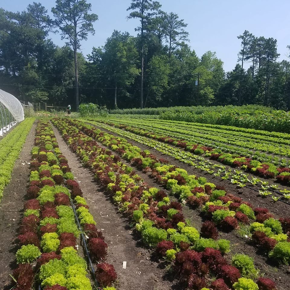 Next Happening: Farm Happenings for July 8, 2020
