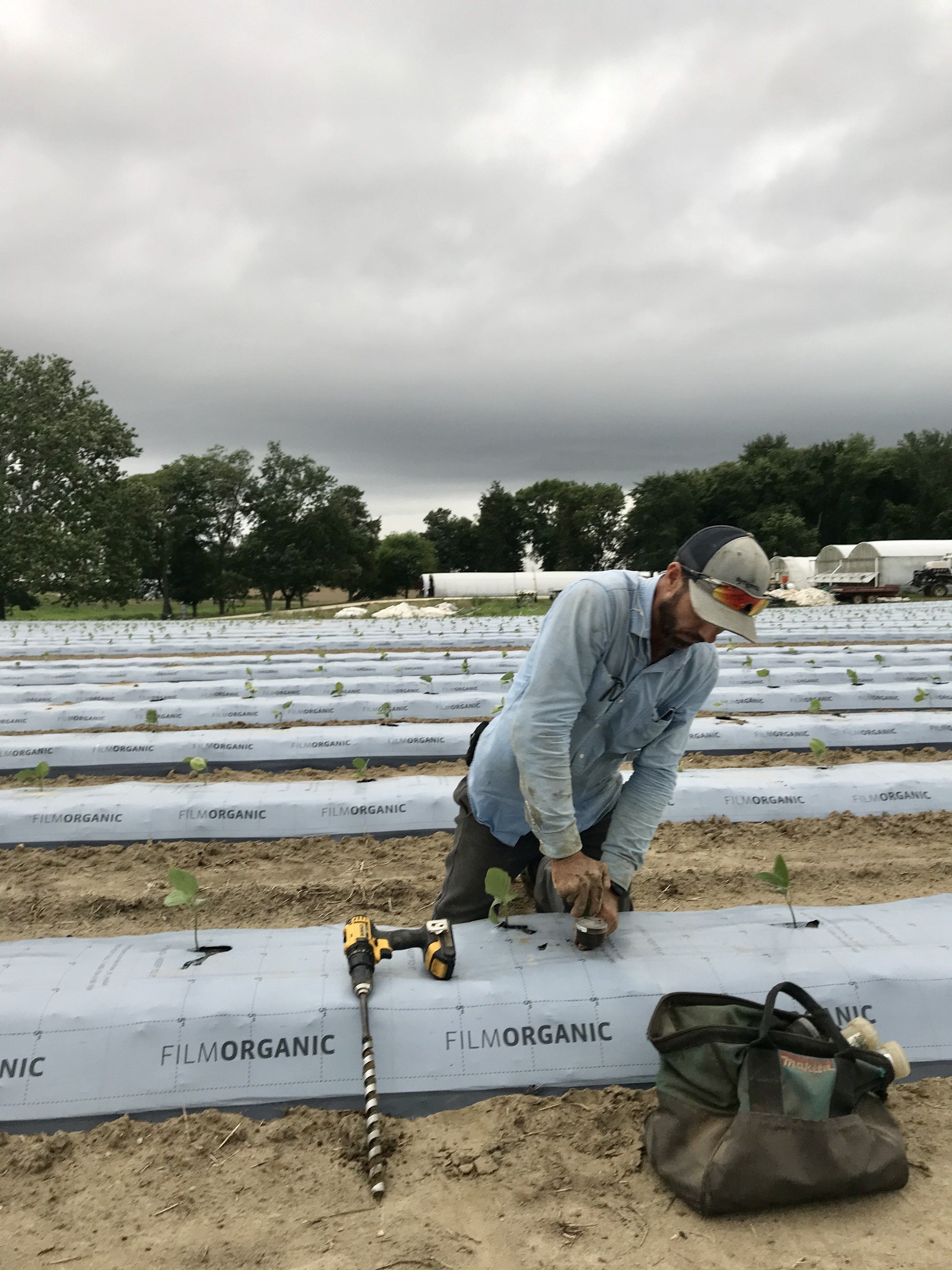 Next Happening: Farm Happenings for July 13, 2020