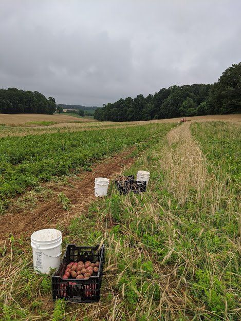 Previous Happening: Farm Happenings for July 15, 2020
