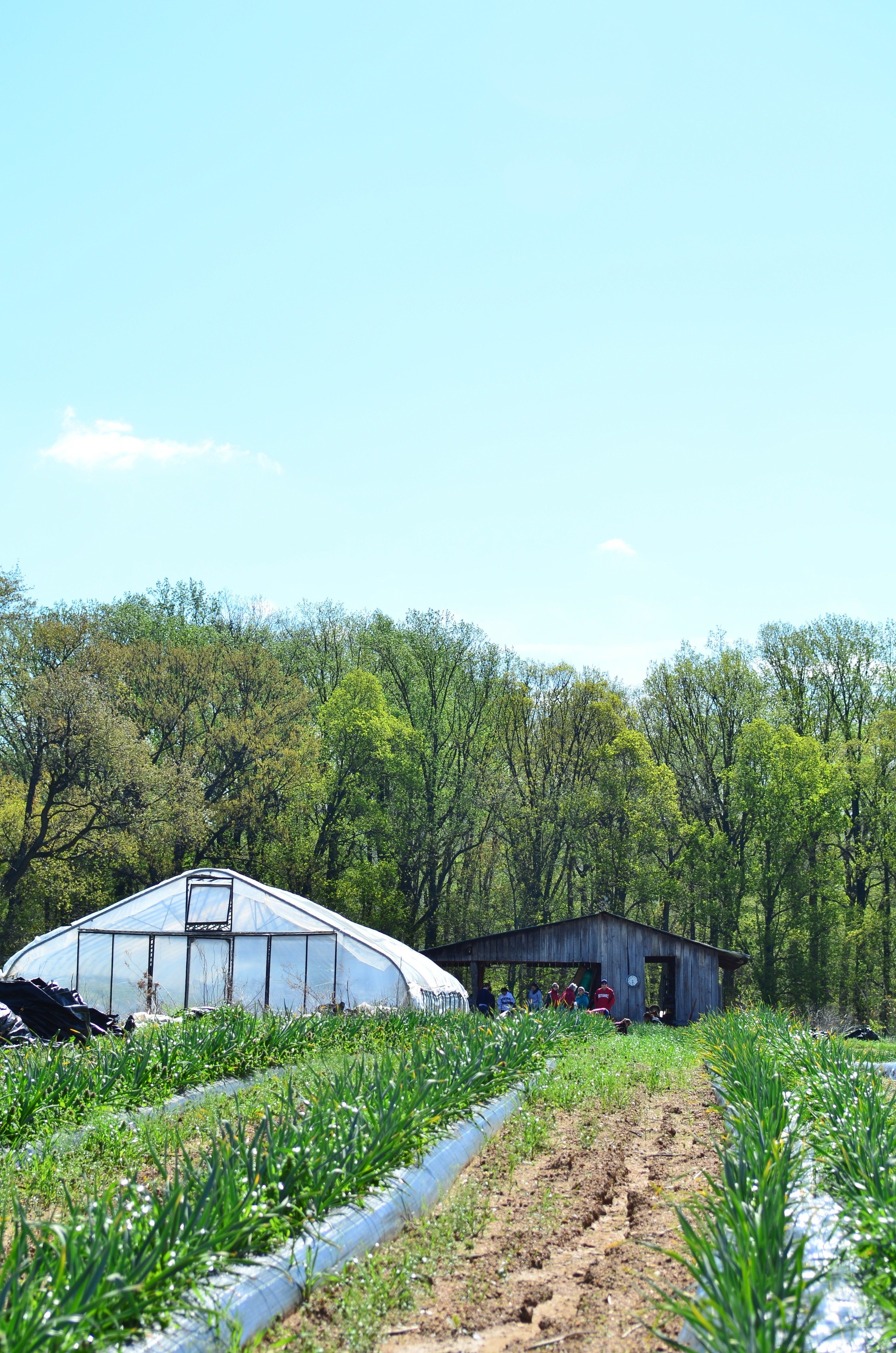 Next Happening: Farm Stand Pop-Up Happening July 17