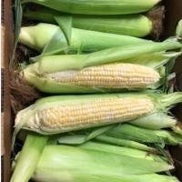 Next Happening: Online Farm Stand for July 22 & 23, 2020