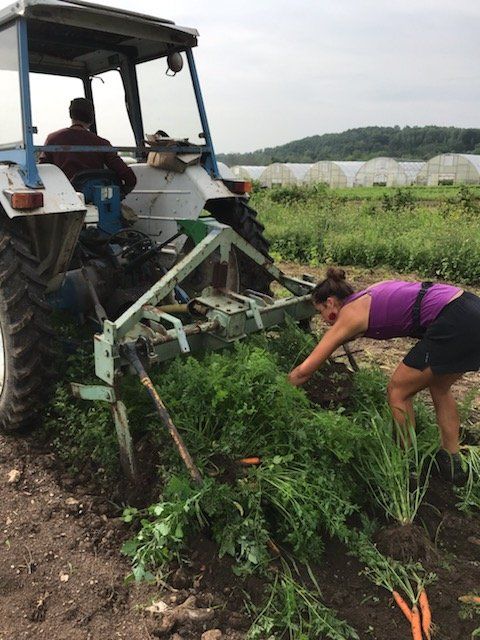 Previous Happening: Farm Happenings for July 21, 2020