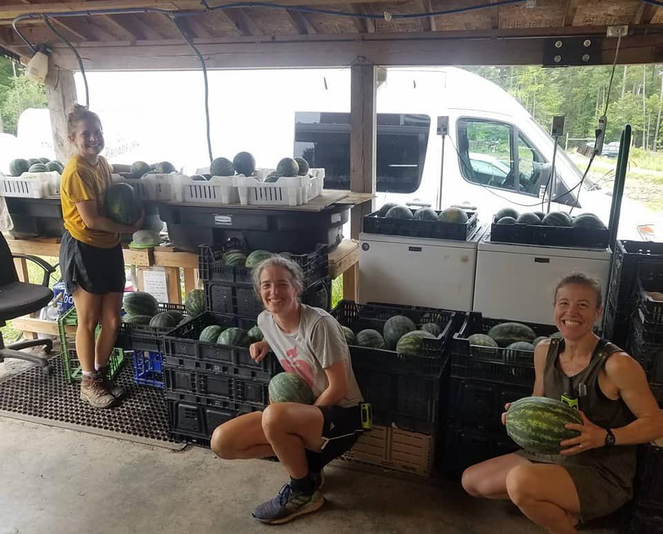 Previous Happening: Farm Happenings for July 22, 2020
