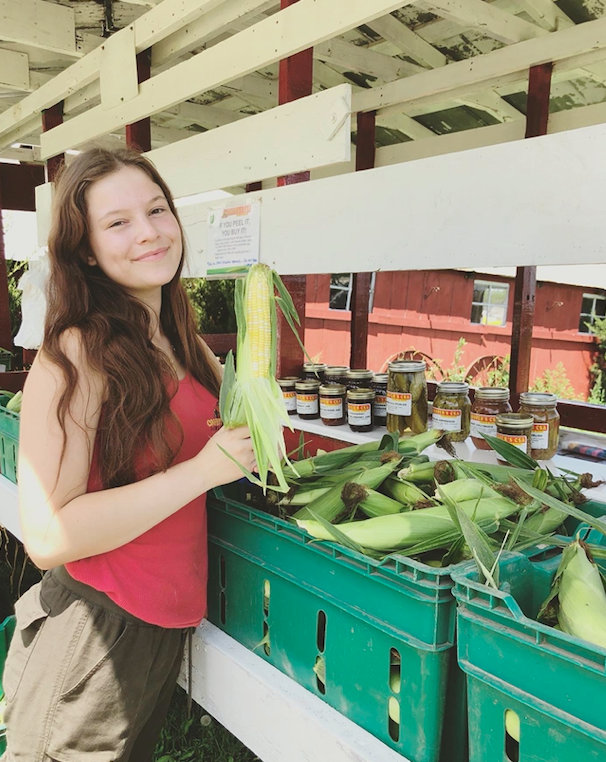 Previous Happening: Week 9 of 20; Summer 2020 Vegetable Share-Coopers CSA Farm Happenings