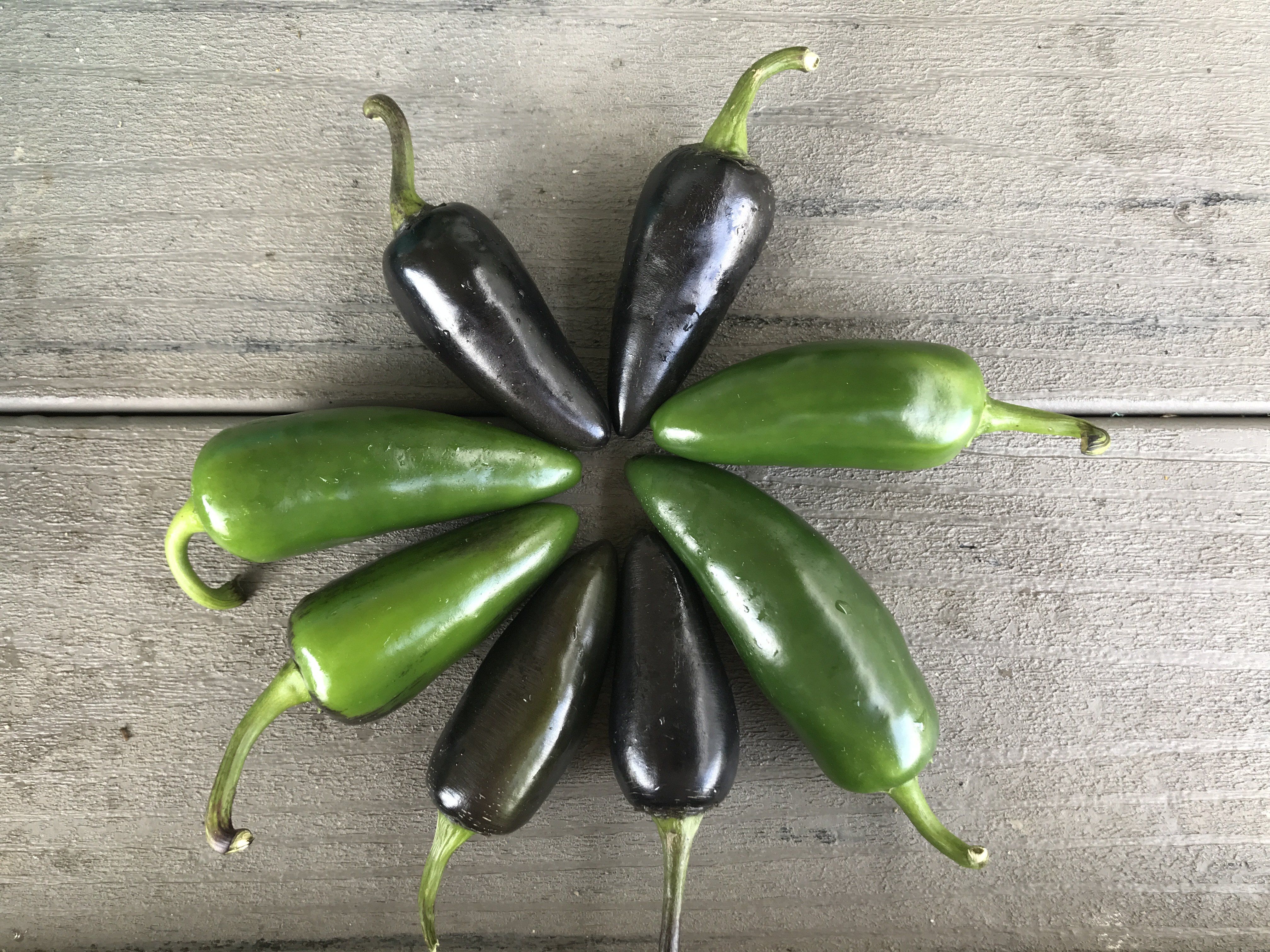 Previous Happening: Six Ideas to Use Hot Peppers