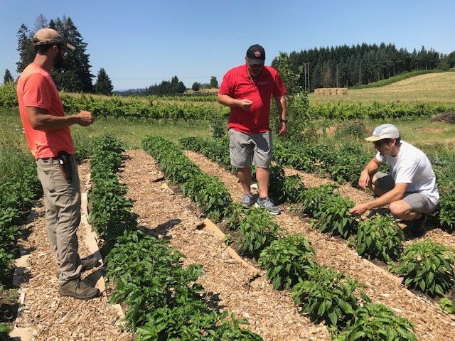 Previous Happening: Farm Happenings for July 30, 2020