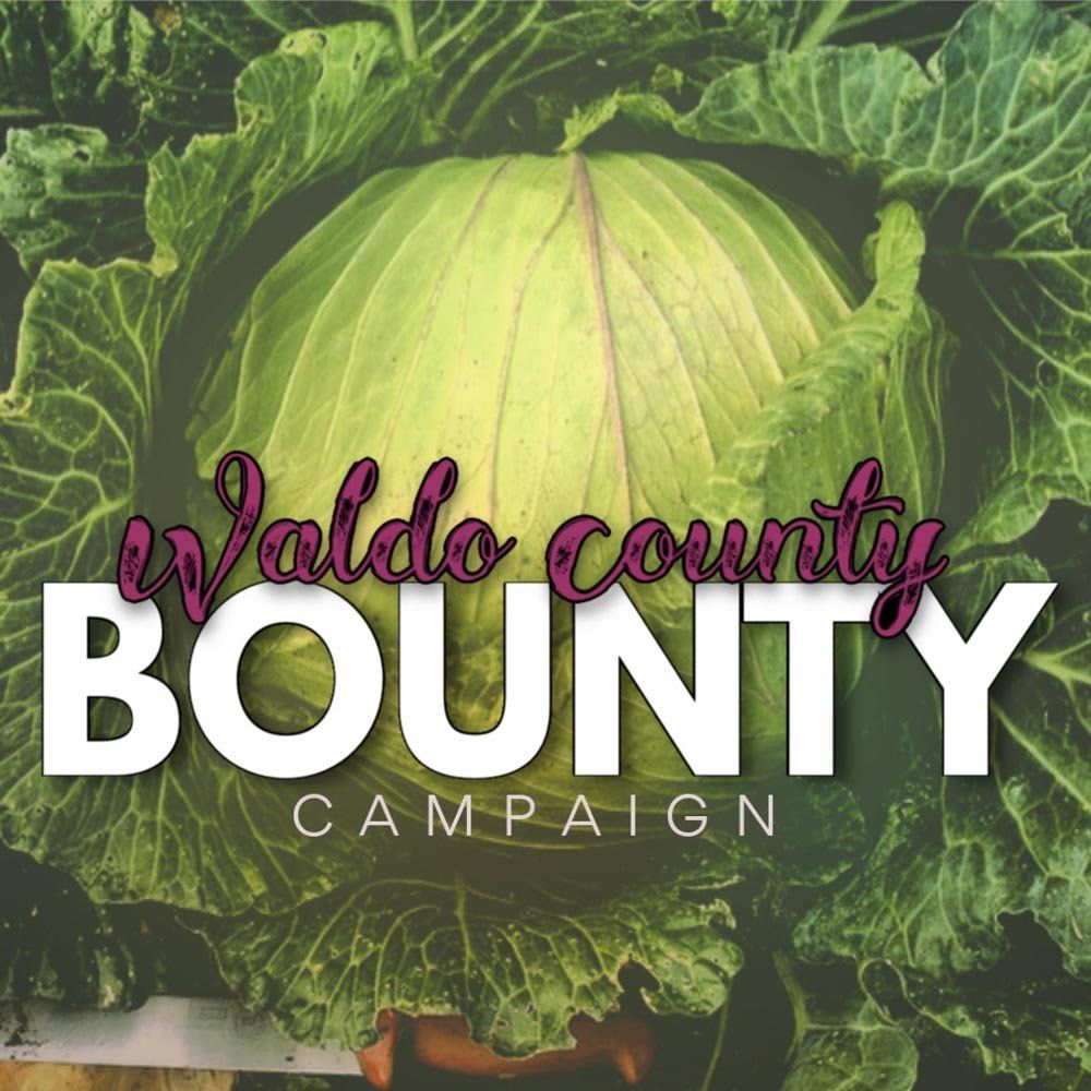Farm Happenings for 8/4/2020: Salsa ingredients this week! & Waldo County Bounty Campaign
