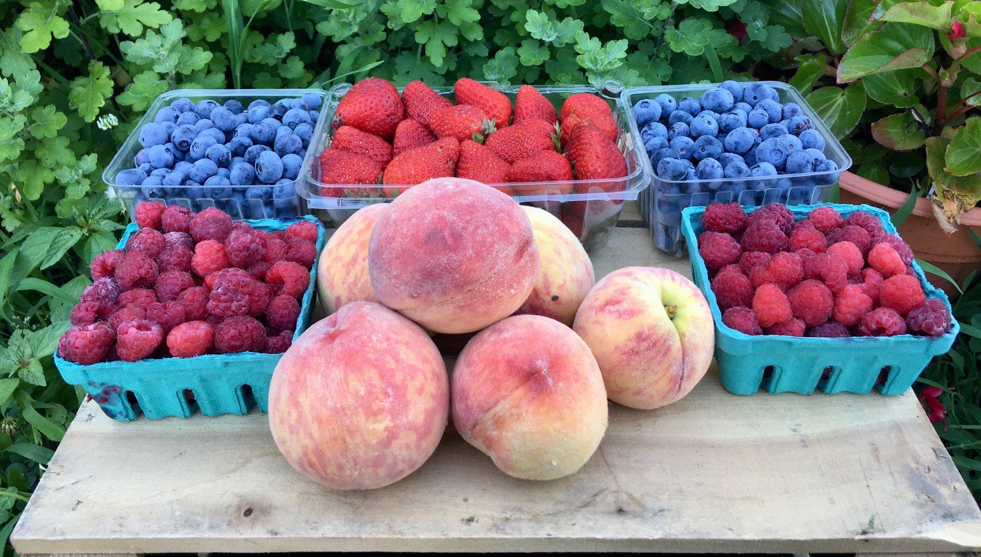 Next Happening: National Farmers Market Week and Agriberry Customer Appreciation Week!