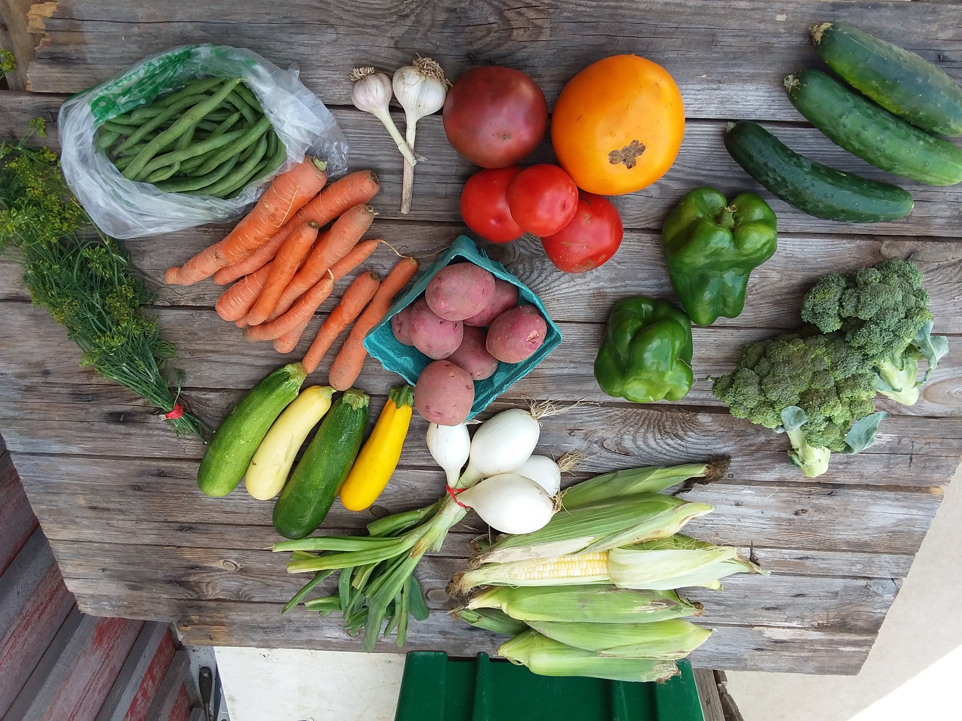 Next Happening: CSA Box #9 (Click on Continue Reading to see whole newsletter)