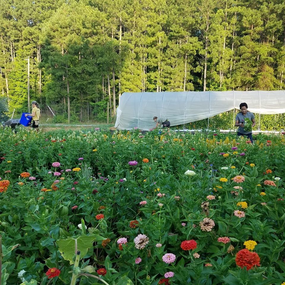 Previous Happening: Farm Happenings for August 8, 2020