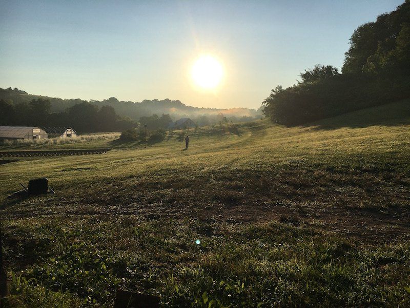 Previous Happening: Mornings on the Farm