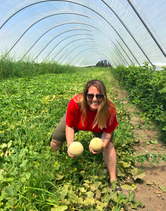 Previous Happening: Week 12 of 20; Summer 2020 Vegetable Share-Coopers CSA Farm Happenings
