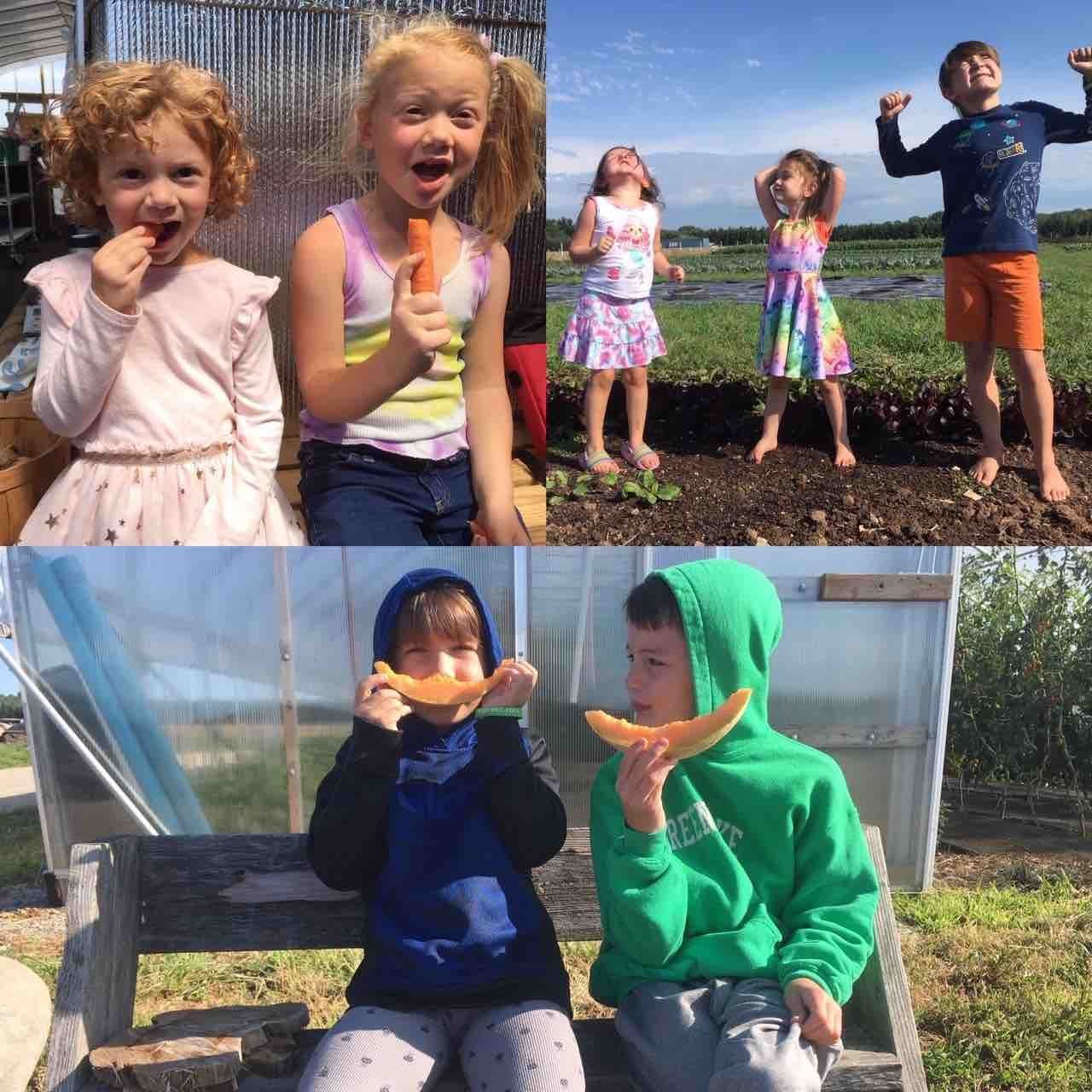 Previous Happening: Kiddos on the Farm