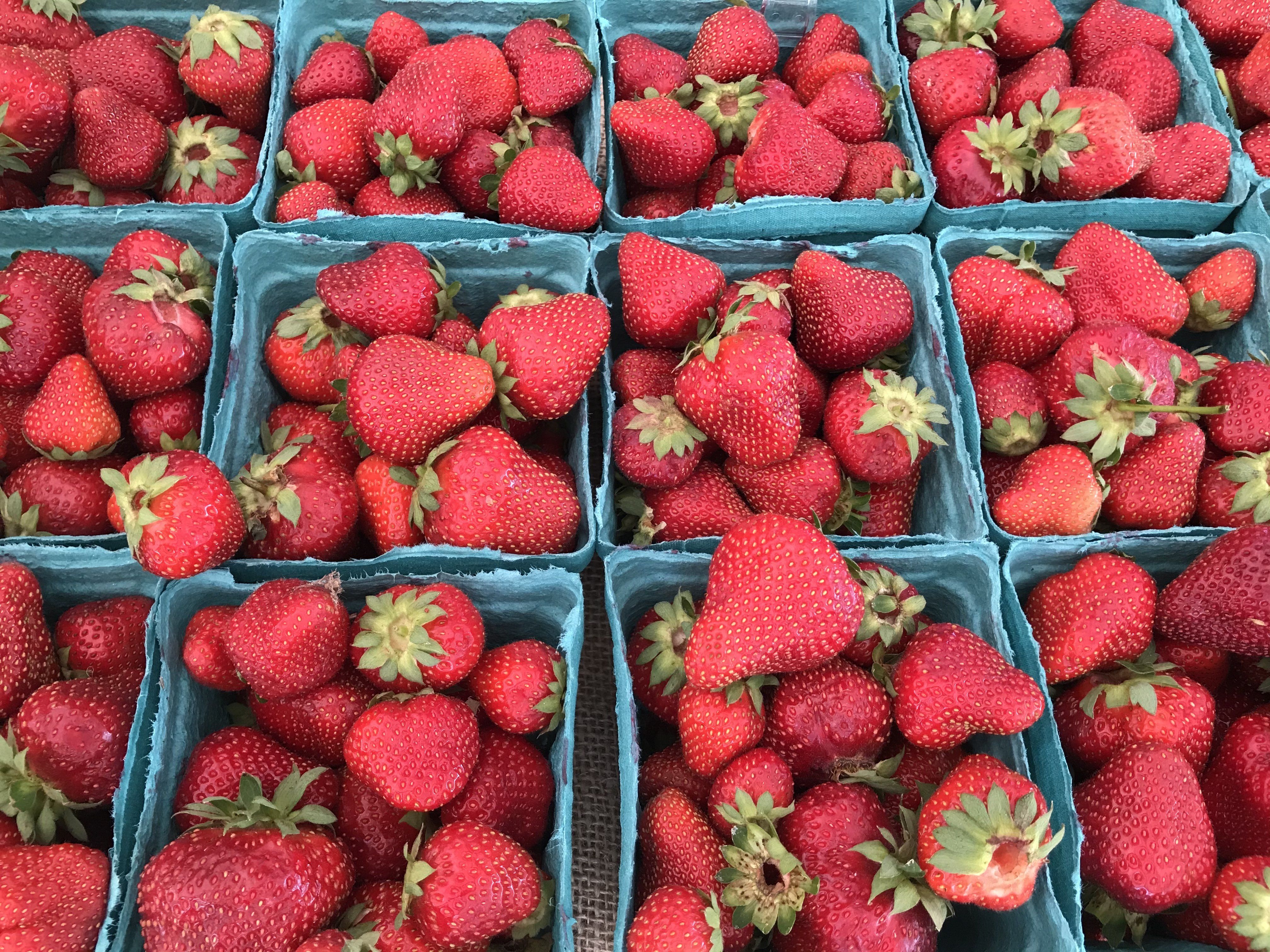 Previous Happening: Central Oregon Strawberry Season is Upon us