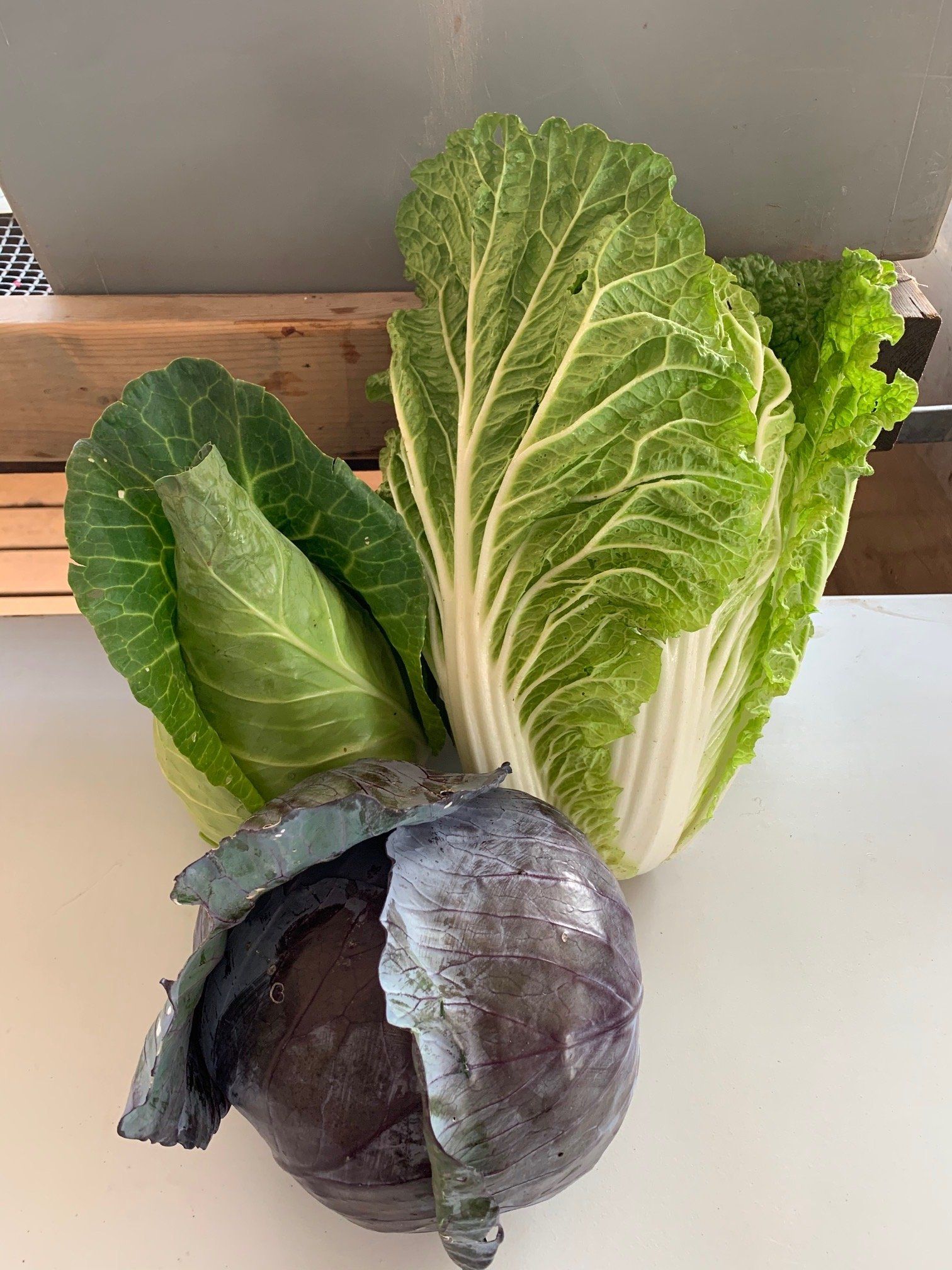 Next Happening: What can we do with all this cabbage?