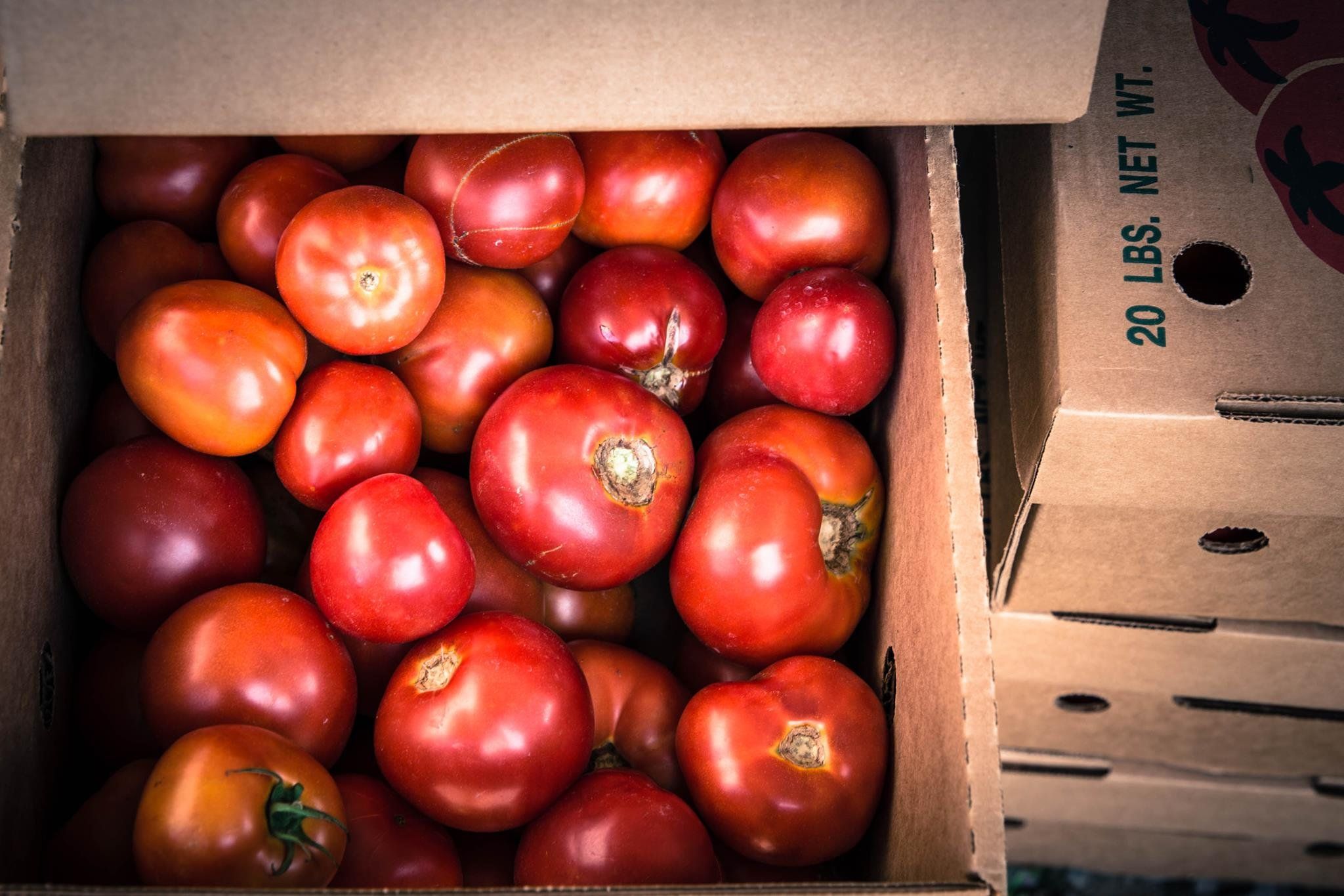 Previous Happening: Bulk Tomato Sale Saturday morning Aug 22, 2010 at Suffield Farm