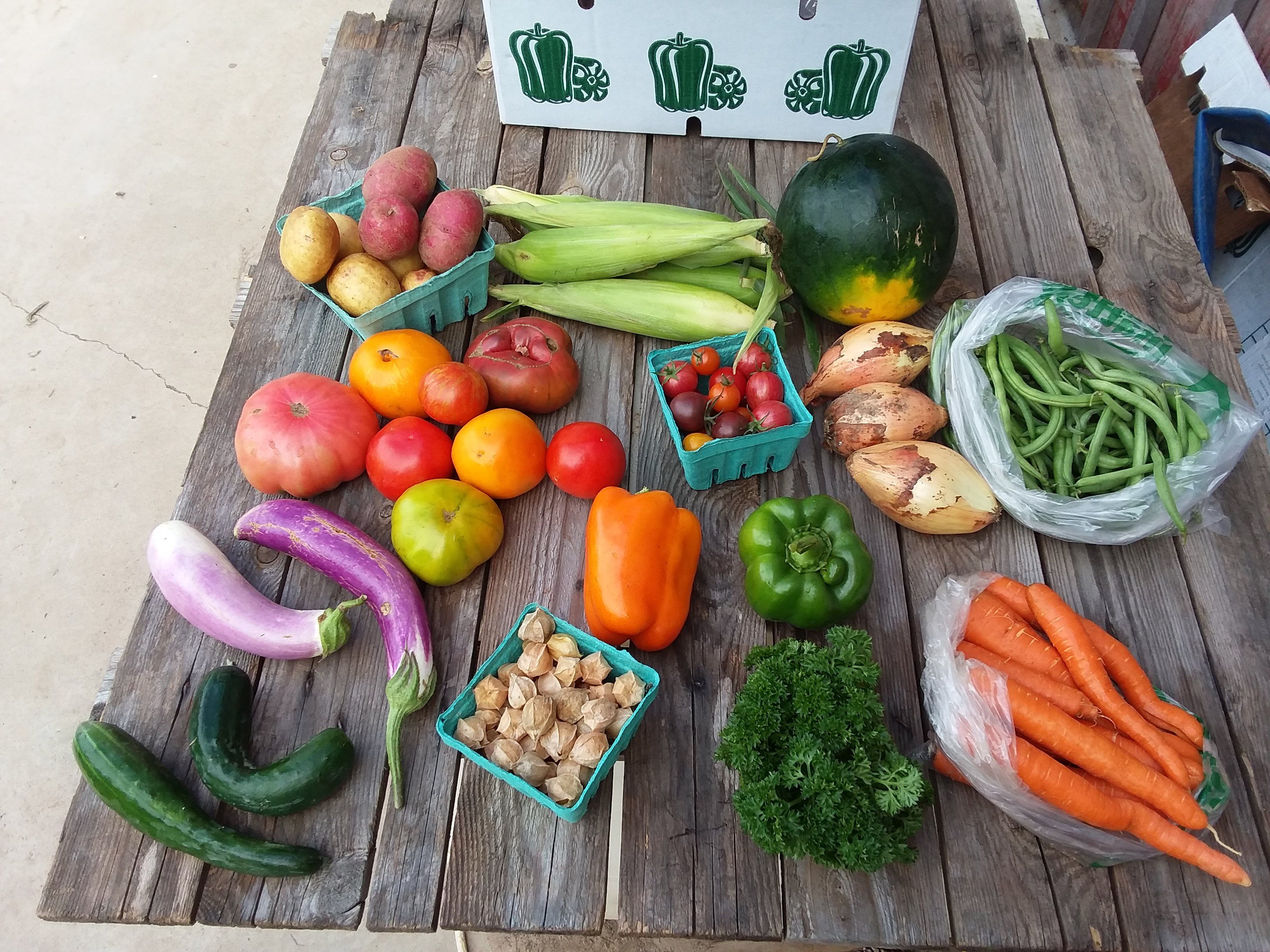 Next Happening: CSA Box 12 (Please Click on Continue Reading to see Whole Newsletter)