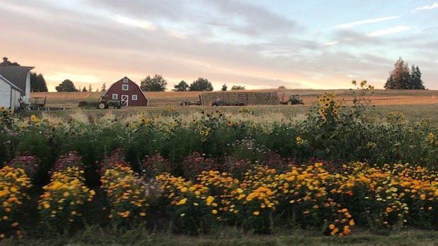 Next Happening: Farm Happenings for August, 23 2020