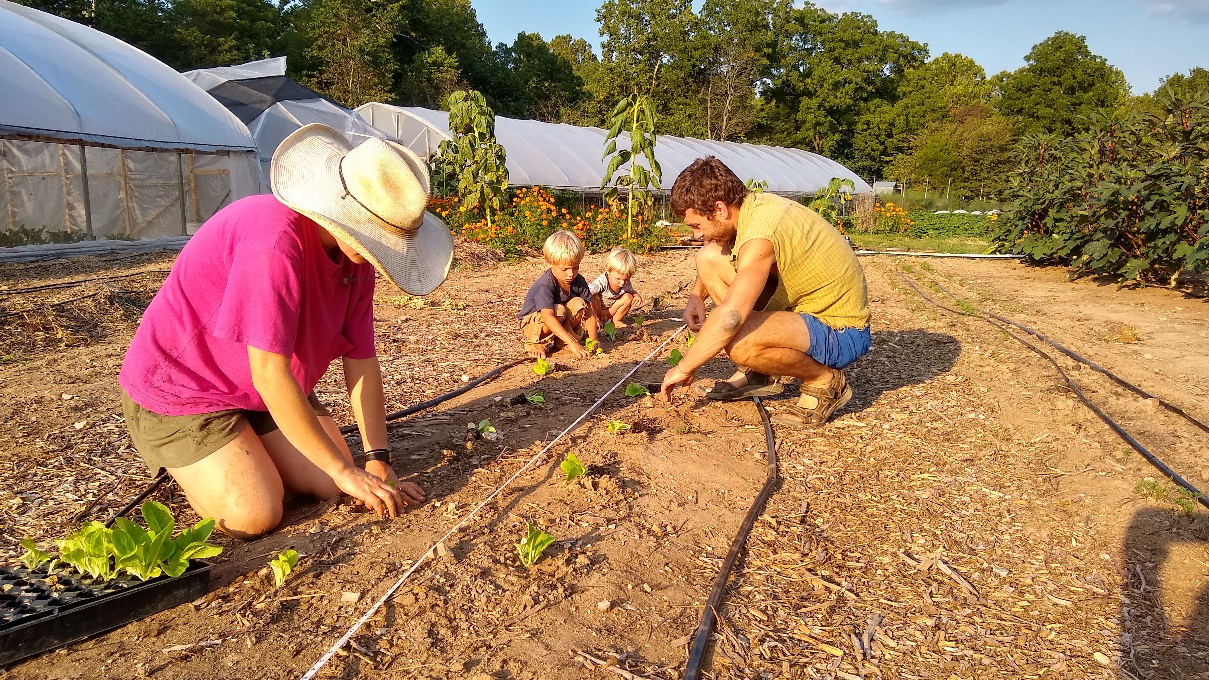 Next Happening: Farm Happenings for August 31, 2020
