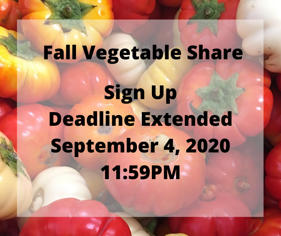 Next Happening: Fall Vegetable Shares Sign Up Deadline Extended to September 4, 2020