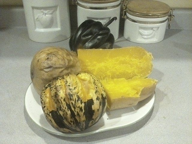 Previous Happening: The Winter Squash is Ready!
