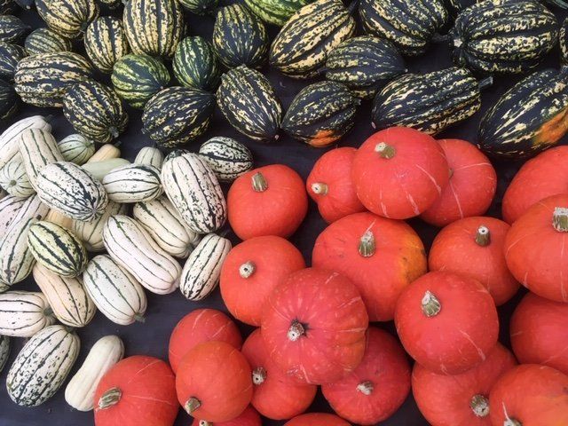 Next Happening: The bounty of fall!