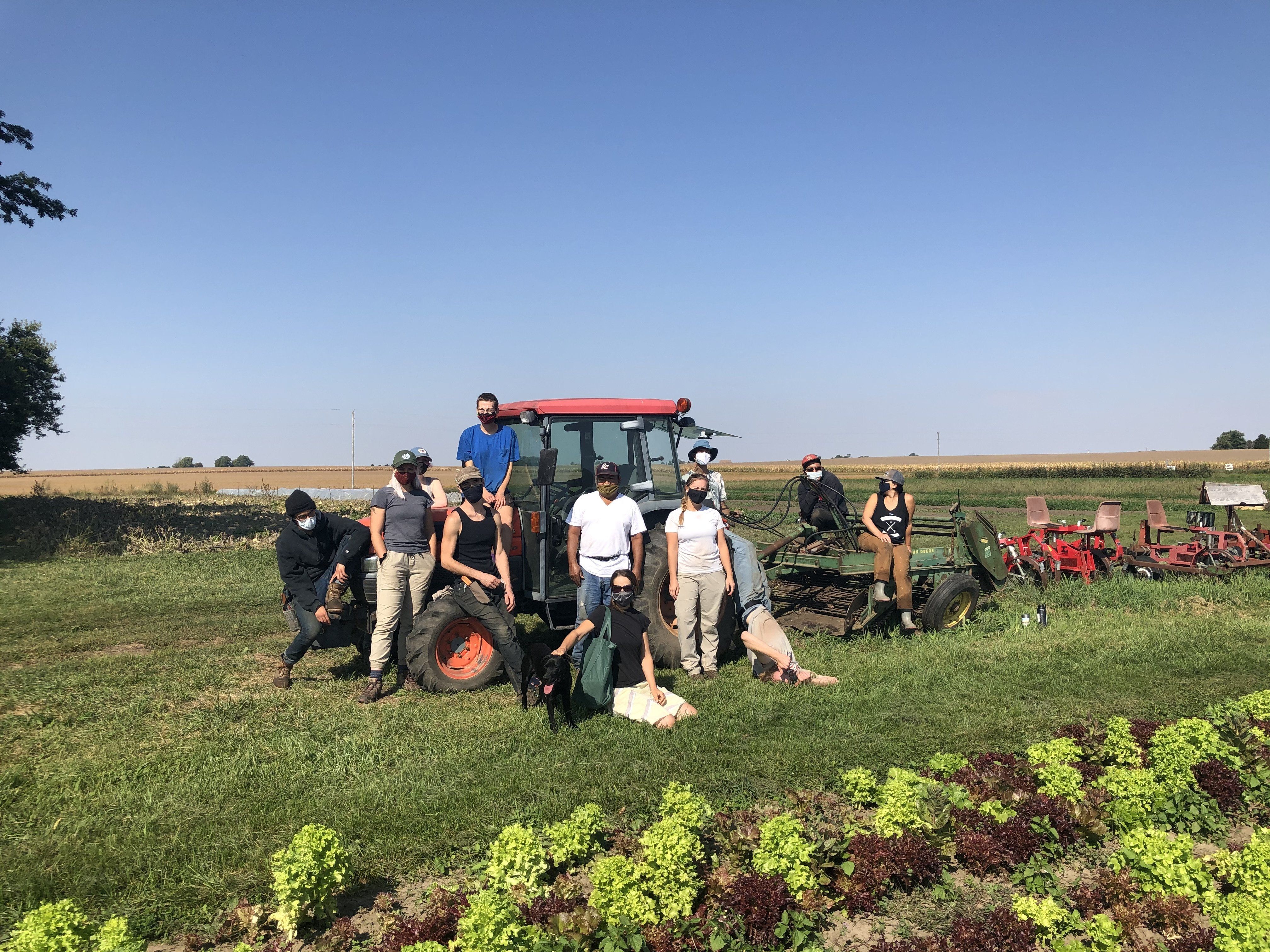 Next Happening: Farm Happenings for September 30, 2020: Fall CSA Shares Coming Soon