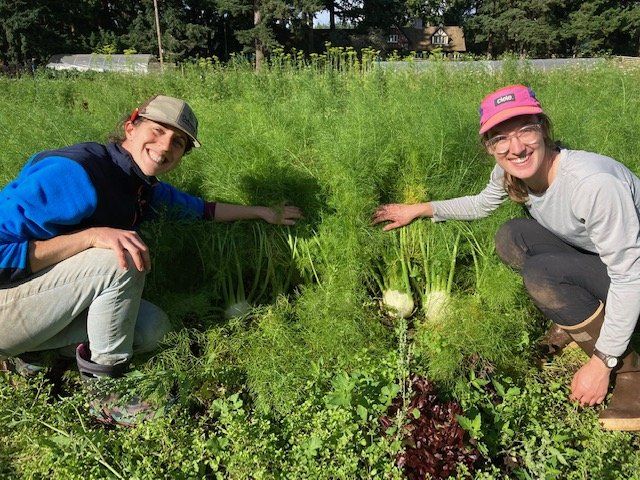 Next Happening: Farm news - What's with all the fennel???