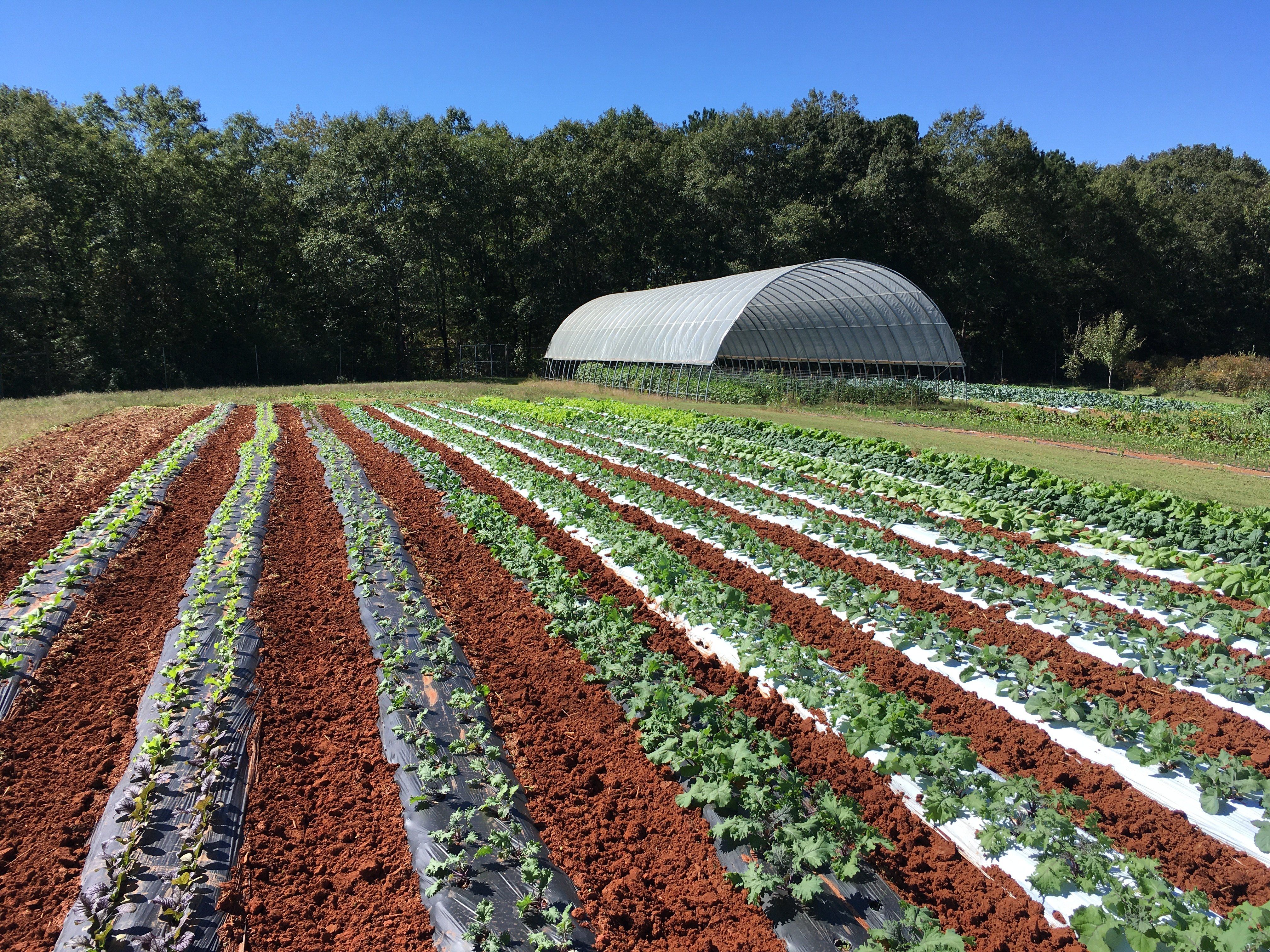 Previous Happening: Farm Happenings for October 2, 2020