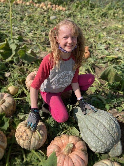 Previous Happening: Farm Happenings for October 13, 2020