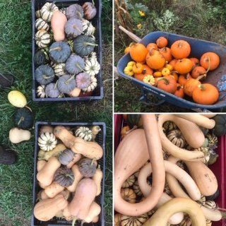 Previous Happening: Farm Happenings for October 15, 2020
