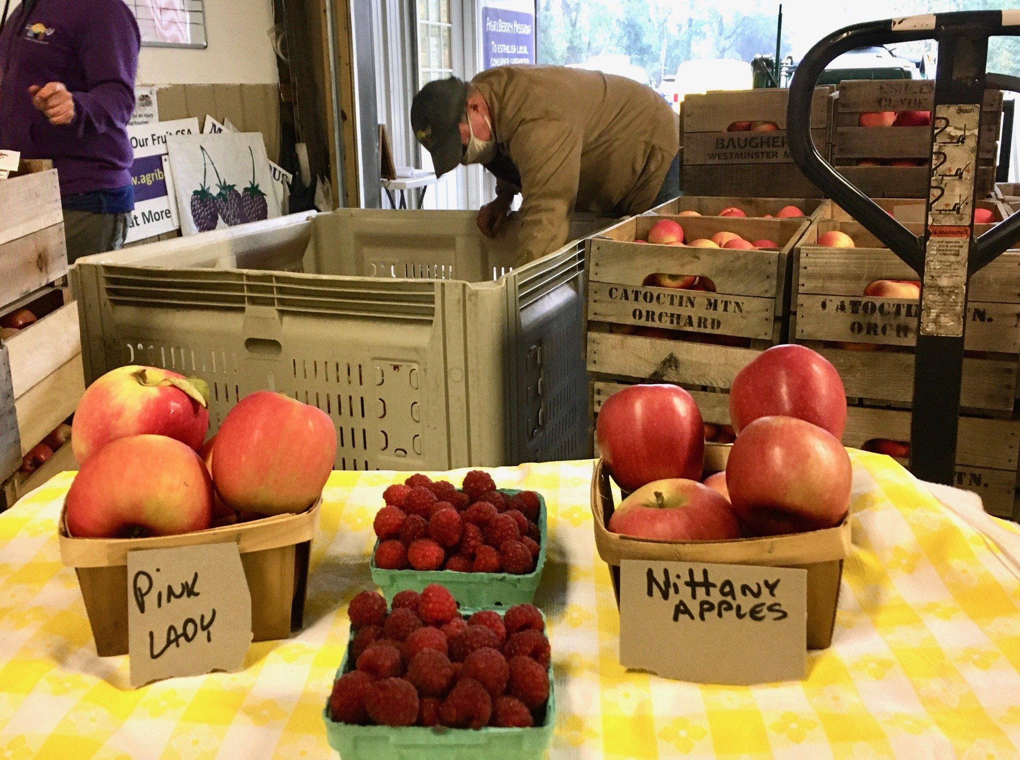 Previous Happening: Second to last week of our Fall Farm Share... Holiday Farm Share is on the horizon!