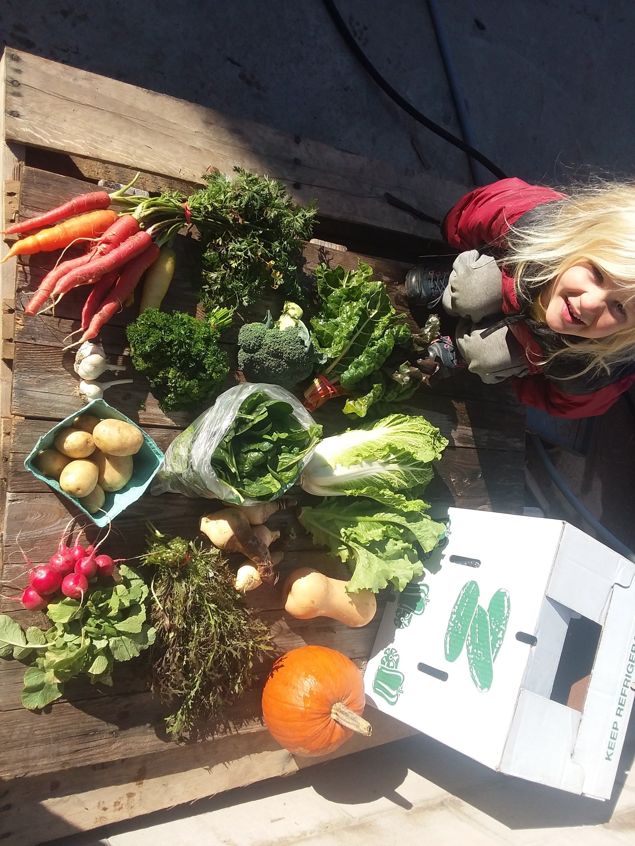 Next Happening: Fall CSA Box #4 (Click continue Reading to see whole newsletter)