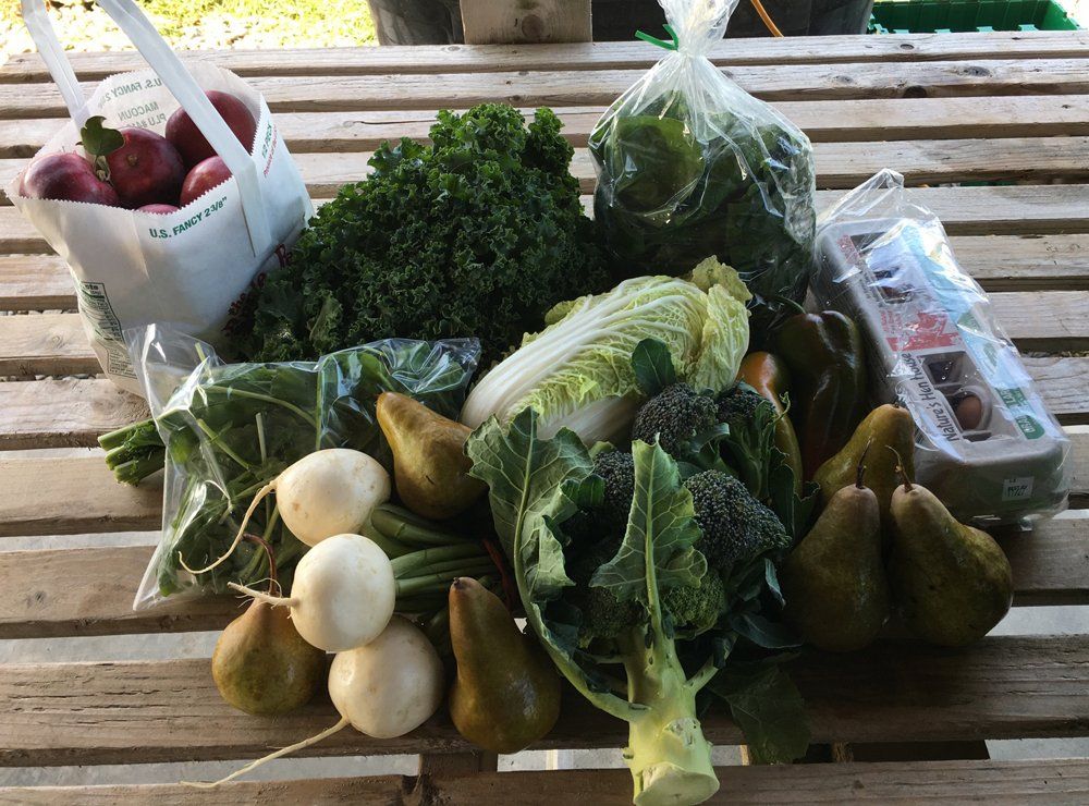 Previous Happening: Farm Happenings for 11/3/2020: November is here & Update from Songbird Farm