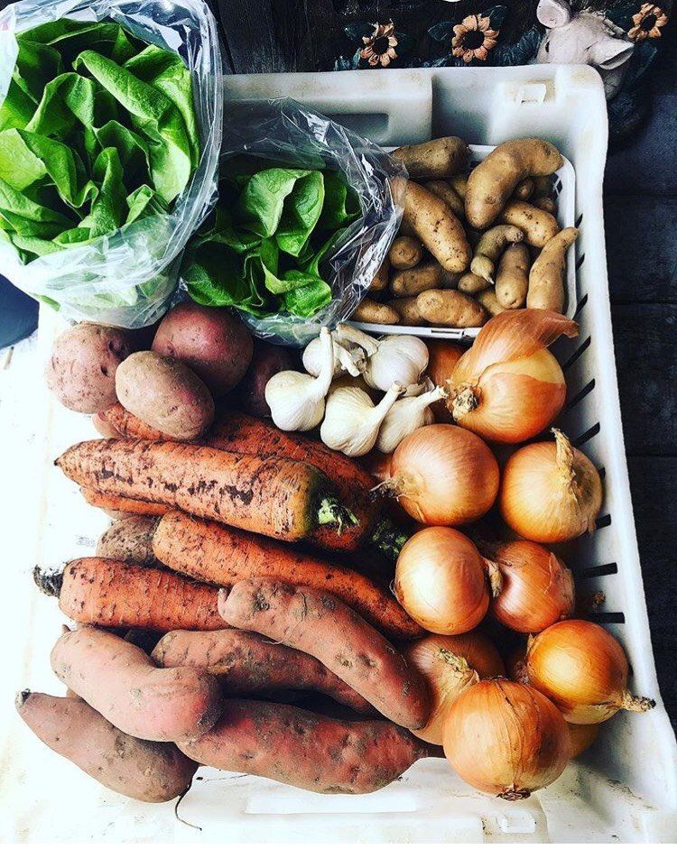Previous Happening: Winter/Spring Veggie Share 2020-2021-Coopers CSA Farm Happenings
