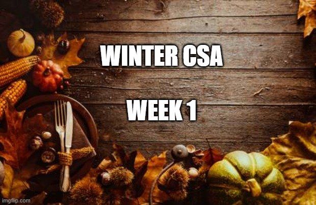 Winter CSA Week 1