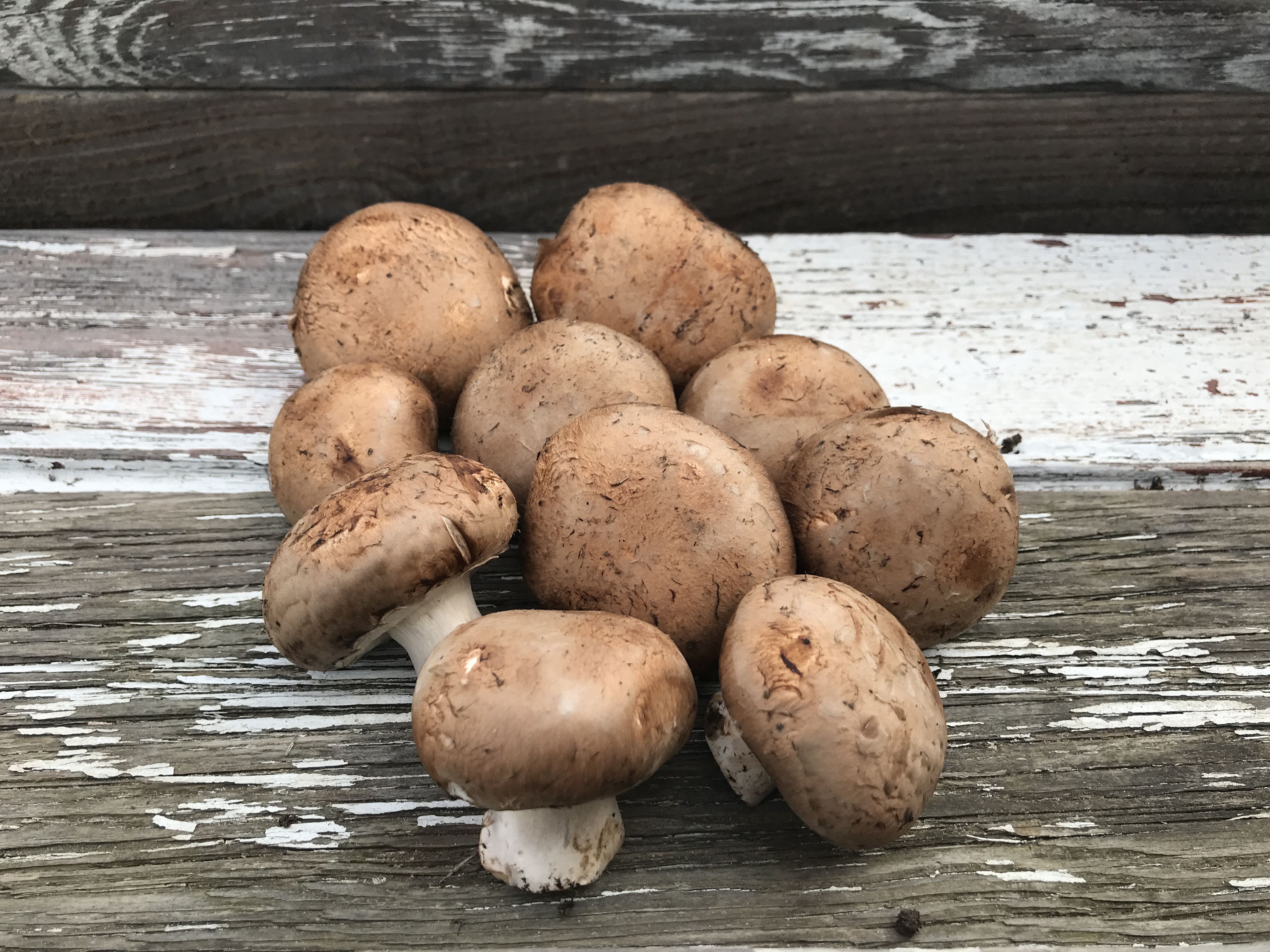 Mushrooms in winter shares & Recipes