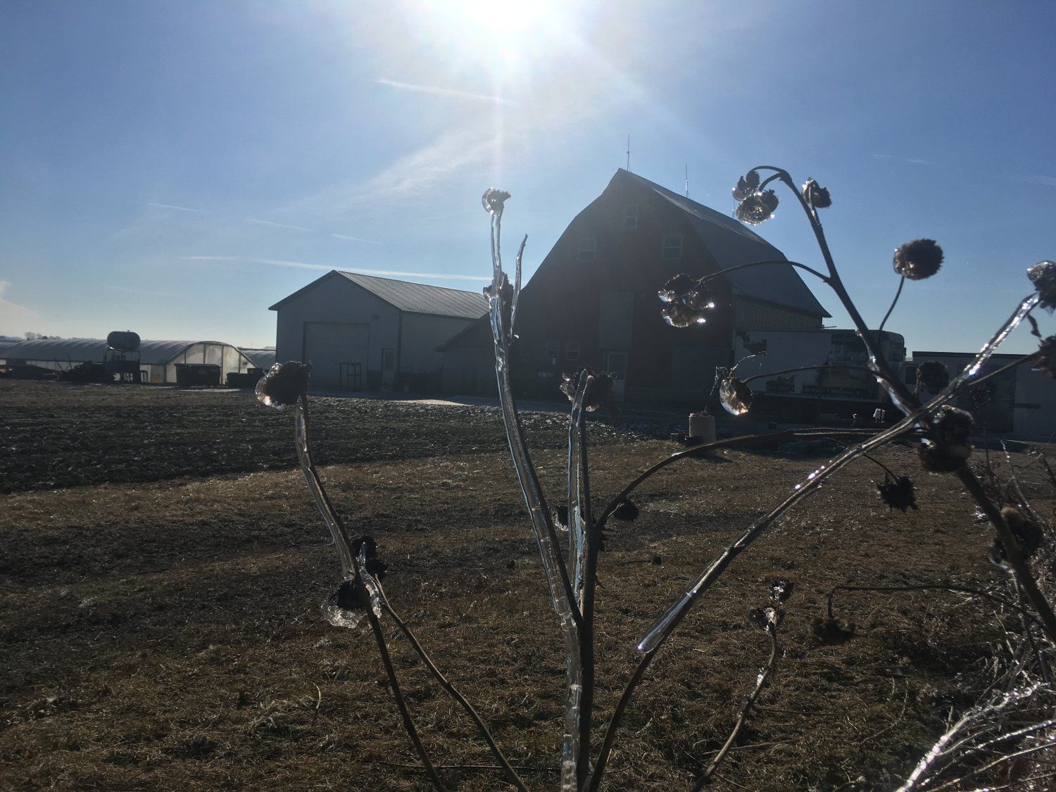 Farm Happenings for February 6, 2021: Small Pop-up Delivery