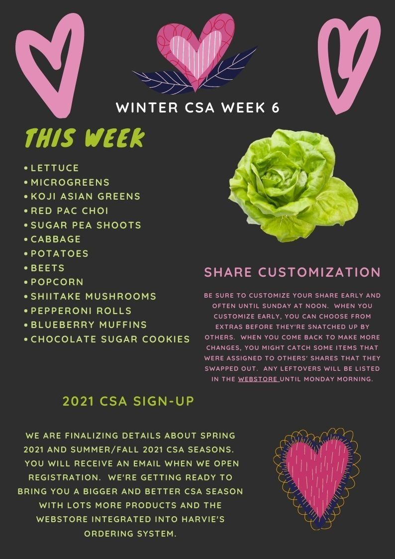 Winter CSA Week 6