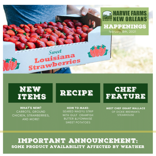 Previous Happening: Harvie Farms New Orleans Happenings for the Week of February 22, 2021