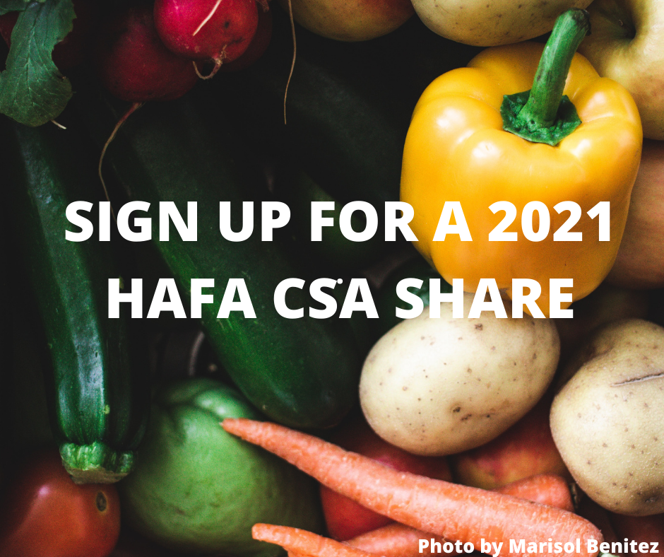 Sign Up for a 2021 CSA Share with Us!