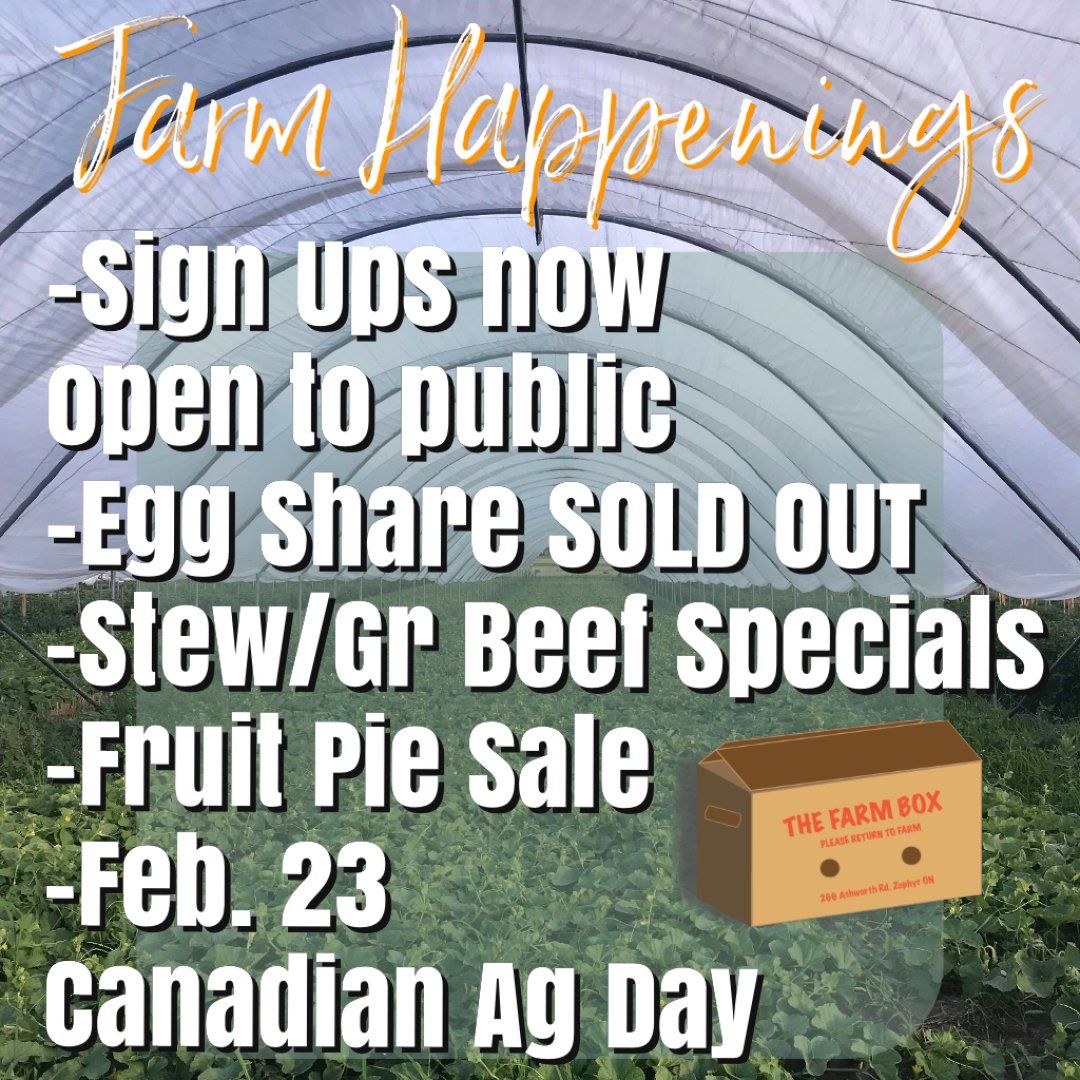 Next Happening: Winter/Spring Veggie Share Feb. 23rd-27th -Coopers CSA Farm Happenings
